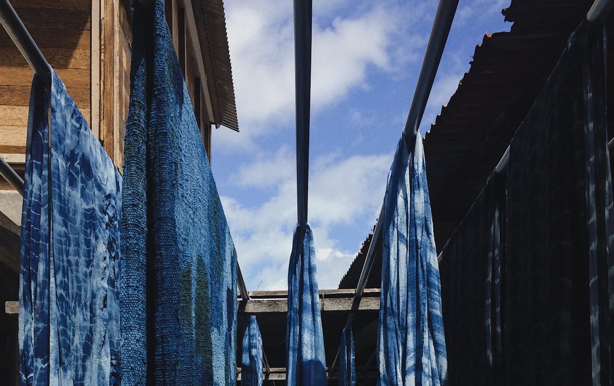 Freshly dyed indigo cloths drying on the line
